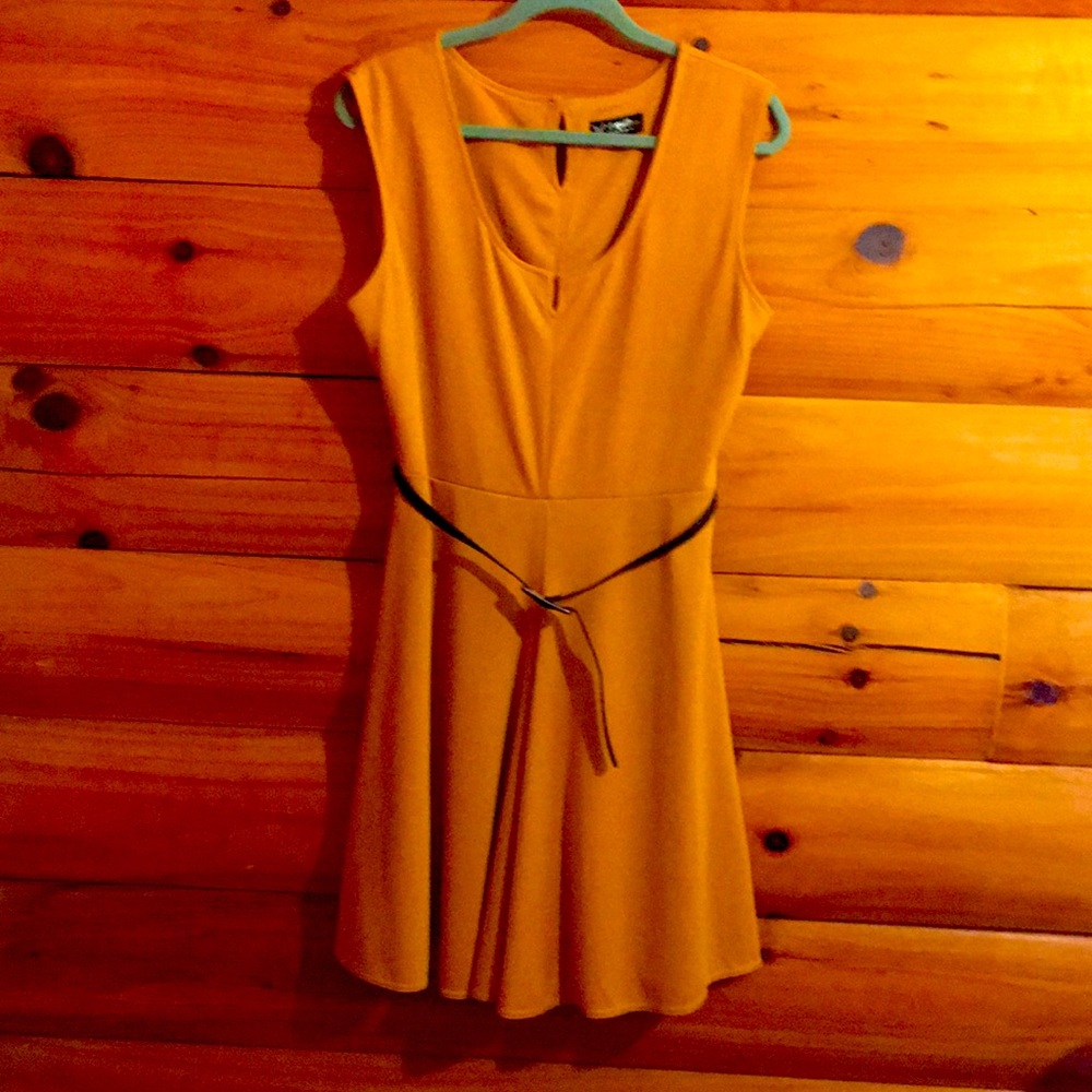 Fun Sleeveless belted dress.  Flared bottom!